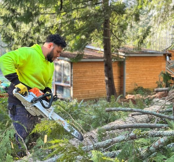 Tree Service Company